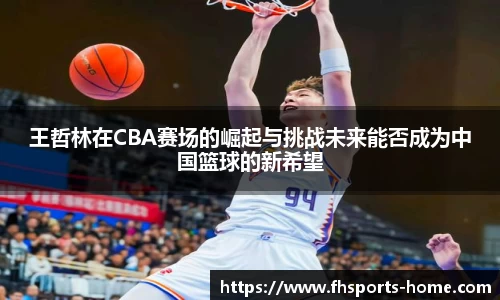 王哲林在CBA赛场的崛起与挑战未来能否成为中国篮球的新希望